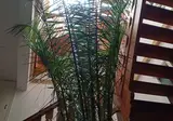 Riad Dar Zaya foto 13