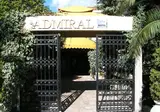 Admiral foto 25