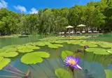 Dreamland The Unique Sea & Lake Resort / Spa foto 6
