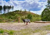 Uplandparcs Sauerland foto 13