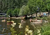 Ferienparadies Natterersee foto 3