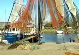 Villapark de Oesterbaai foto 11