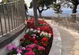 Quinta Funchal Gardens - Adults Only foto 20