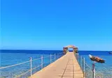 Rohanou Beach Resort & Ecolodge foto 16