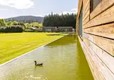 Furnas Lake Forest Living foto 10