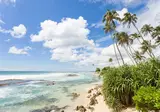 Rondreis Compleet Sri Lanka foto 15
