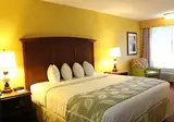 Rosen Inn International foto 9