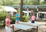 Oostappen Vakantiepark Arnhem foto 15