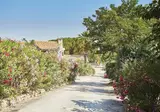 Les Albères foto 19