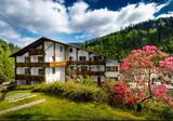 Holzschuh's Schwarzwaldhotel foto 21