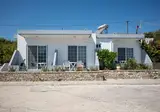 Gardenia foto 2