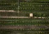 Craveiral Farmhouse foto 24