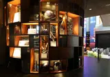 The WB Abu Dhabi, Curio Collection by Hilton foto 4