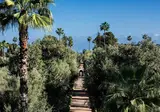La Mamounia foto 10