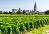 Dordogne, wijn en Bordeaux foto 1
