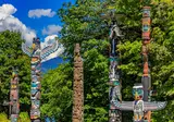 Whales, Bears and Vancouver Island foto 8