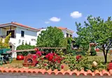 Pela foto 24