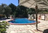 Vassilias Beach foto 15