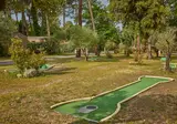 La Pinède foto 6