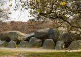 Camping De Toffe Peer foto 17