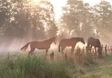 Het Heerengoedt foto 7