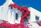 Yria Boutique Hotel & Spa foto 10