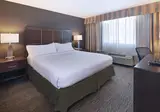 Holiday Inn Hotel & Suites Anaheim foto 17