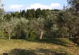 Agricamping Romita foto 3