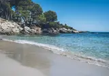 Iberostar Waves Pinos Park foto 17