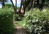 Appartamenti Jana Margherita foto 27