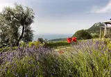 Lefay Resort & Spa Lago di Garda foto 22