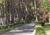 Vakantiepark Galijot Plava Laguna foto 4