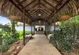 Red Palm Village foto 22