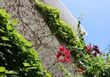 Olympic Kosmas Hotel foto 14