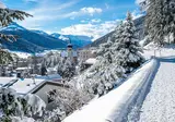 Winter met de Glacier- en Bernina Express foto 16