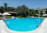 Zeytinada foto 12