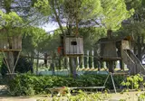 Village Il Poggetto foto 4
