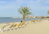 Monarque Dar Jerba Zahra foto 19