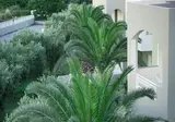 Vardis Olive Garden foto 22