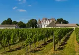 Dordogne, wijn en Bordeaux foto 8