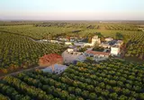 Agriturismo Tenuta Mazzetta foto 1