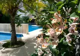 Sotavento Hotel & Yacht Club foto 4