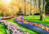 Hotel Lowietje Lisse - Keukenhof foto 20