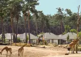 Safari Resort Beekse Bergen foto 4
