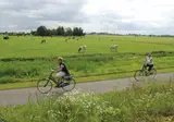 Fietscruise Zuid-Holland en omgeving foto 14
