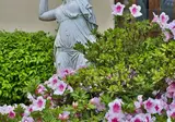 Villa Neroli foto 21