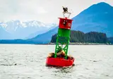 Cruise Alaska foto 5