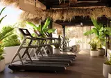 Dreams Jardin Tropical foto 5