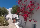 Palatia Village foto 25