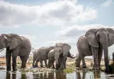 Het Beste van het Zuiden: Wijn- en Tuinroute foto 9